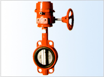 ������̖���yXD371X-10/16